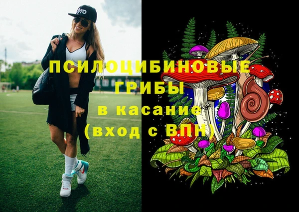 хмурый Богданович