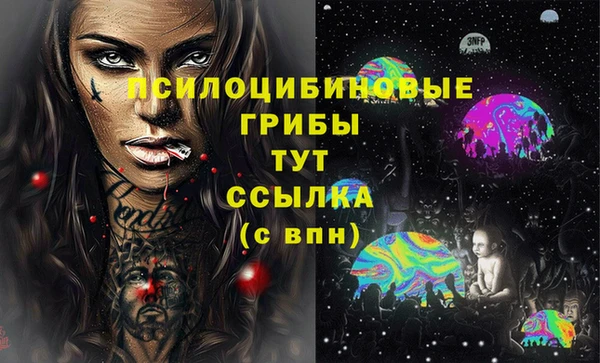хмурый Богданович