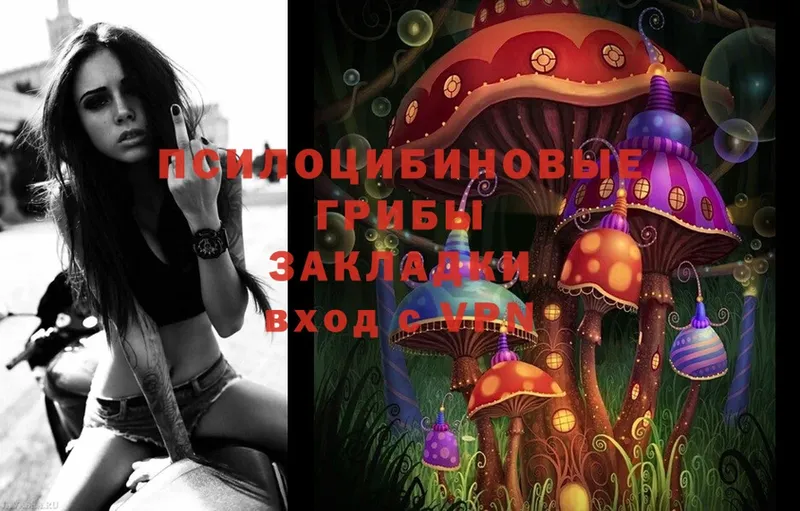 даркнет сайт  Буй  Галлюциногенные грибы MAGIC MUSHROOMS 