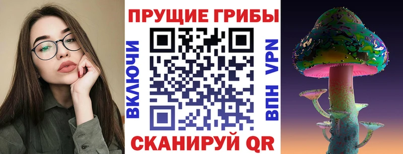 Галлюциногенные грибы Magic Shrooms  купить закладку  Буй 